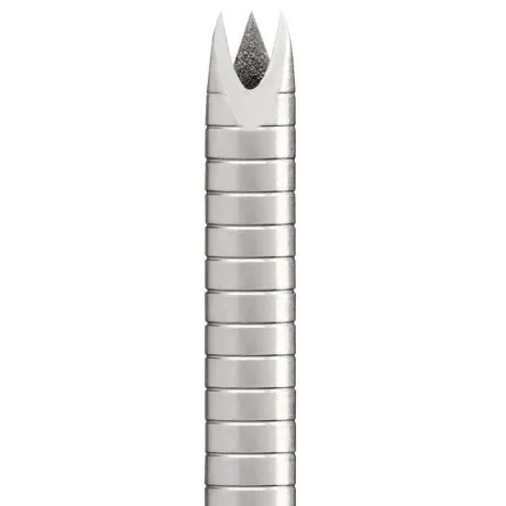 FNB_1