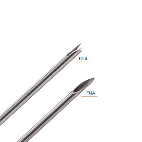 Fine needle biopsy (FNB) needle for tissue diagnosis by ZorayPT OEM